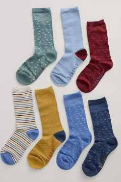 Box Of 7 Women's Sailor Socks
