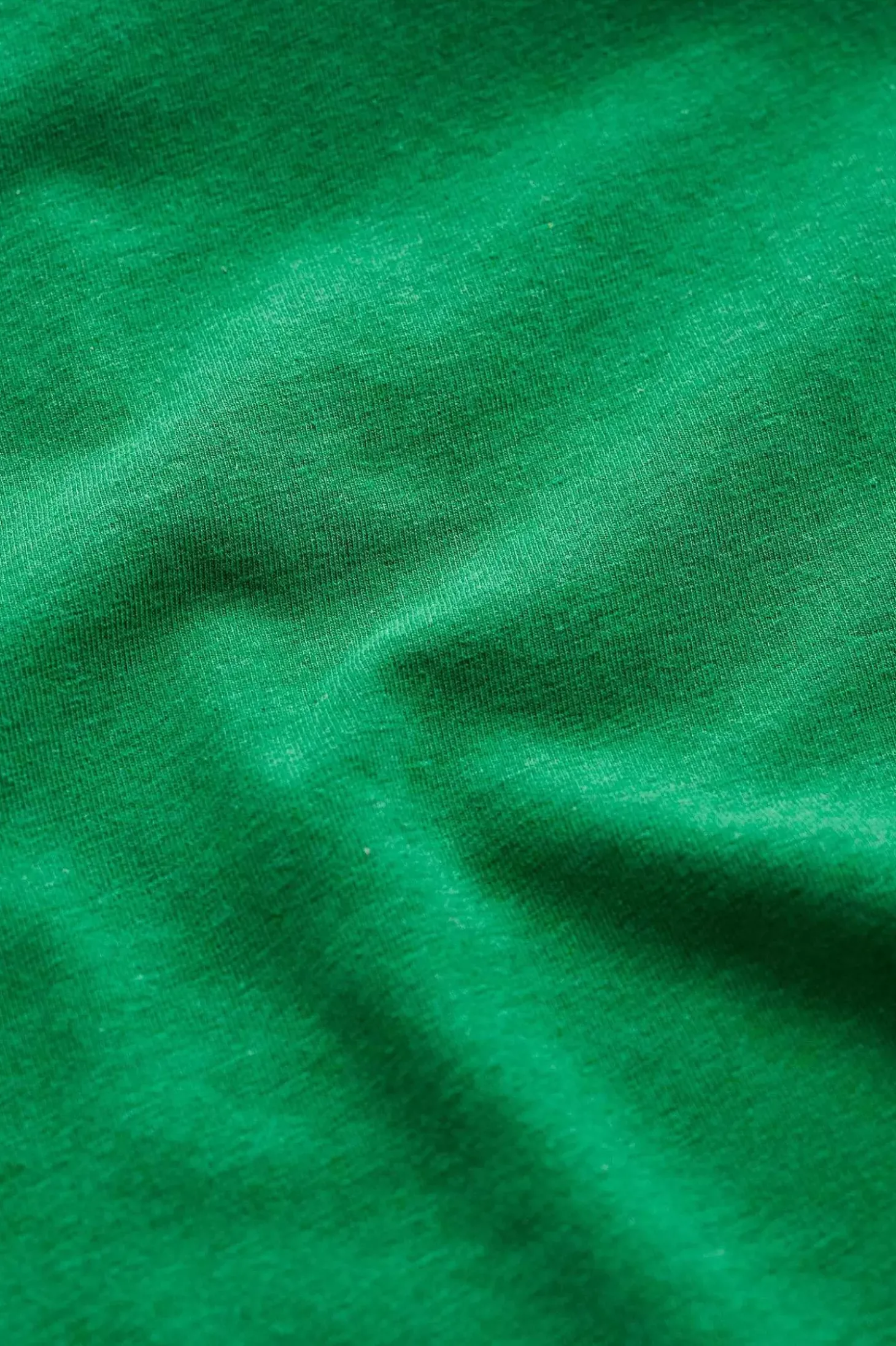 Easel Long Sleeve Jersey Top (Gots)