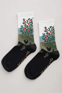 Women's Postcard Organic Cotton Socks